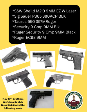 S&W Sheild M2.0 9MM EZ W Laser Sig Sauer p365 380ACP BLK Taurus 650 357MRuger Security 9 Cmp 9MM Blk Ruger Security 9 Cmp 9MM Black Ruger EC98 9MM